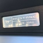 MustangV8 16