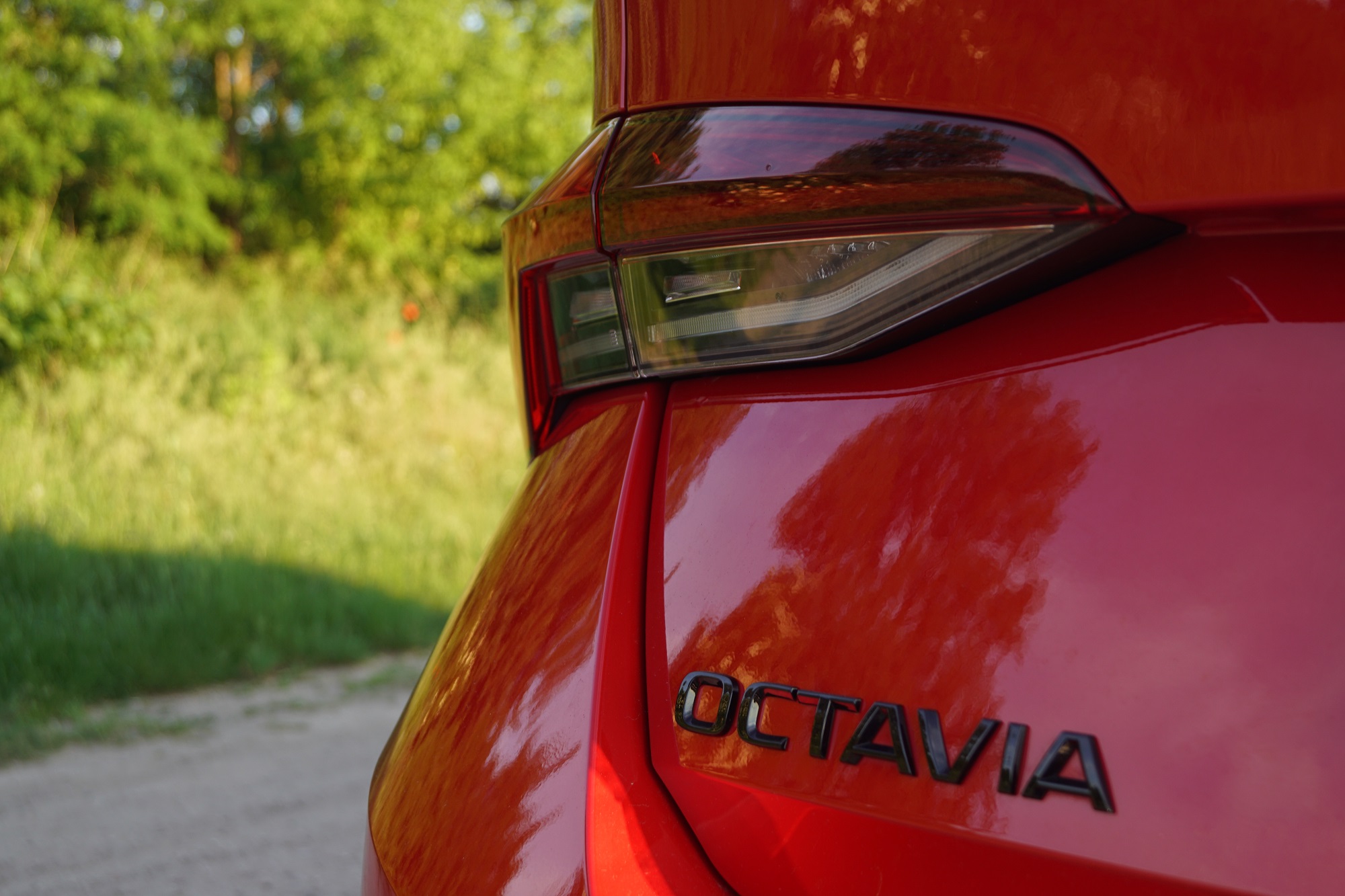 Octavia8