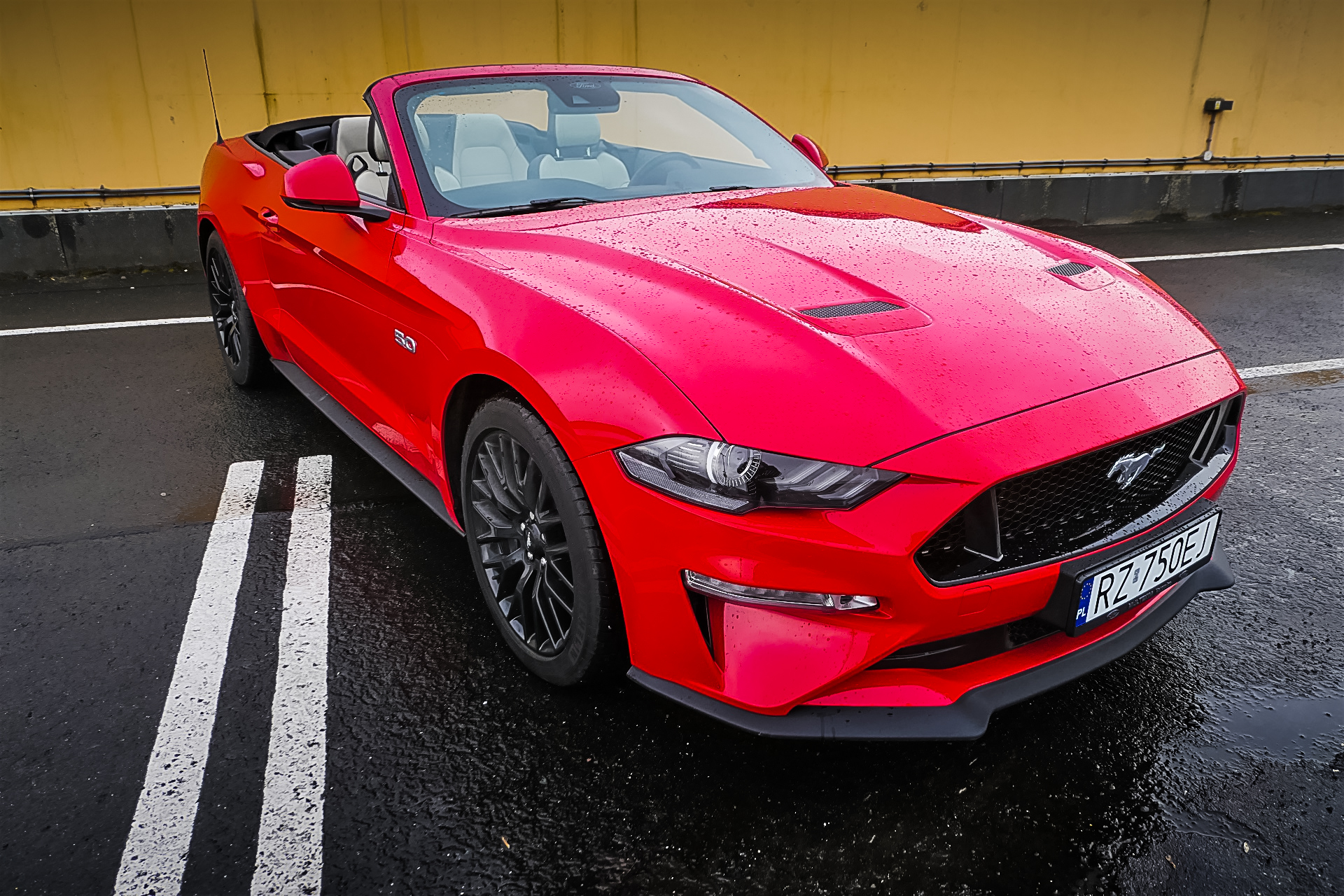 Ford Mustang Cabrio 2023 49
