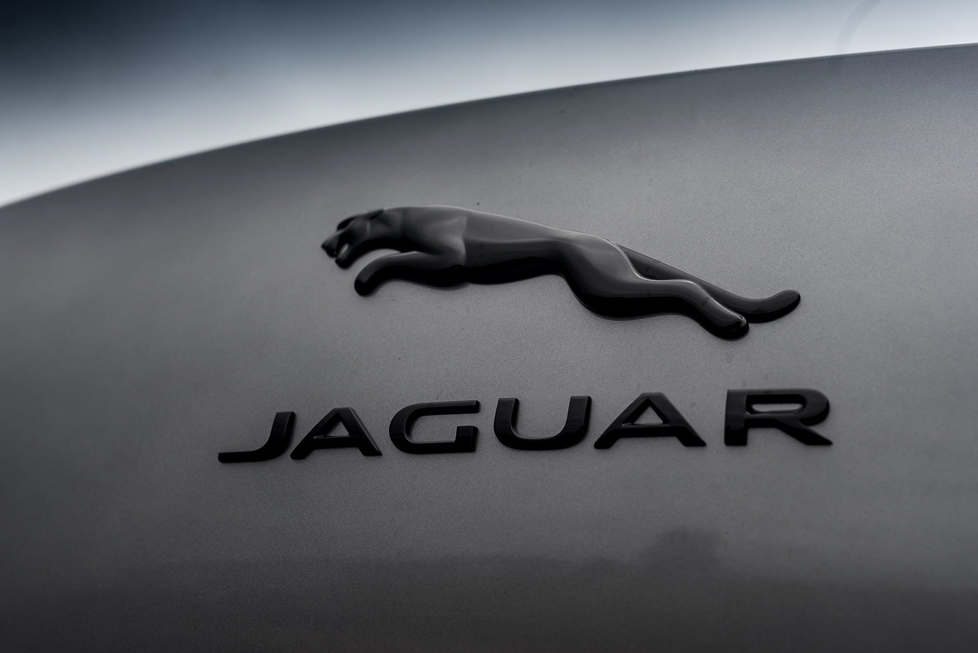 Jaguar I pace 8